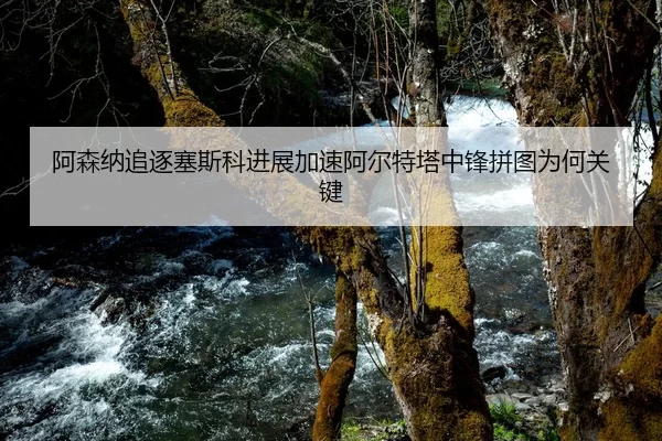 阿森纳追逐塞斯科进展加速阿尔特塔中锋拼图为何关键