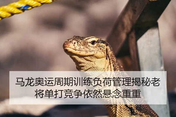 马龙奥运周期训练负荷管理揭秘老将单打竞争依然悬念重重