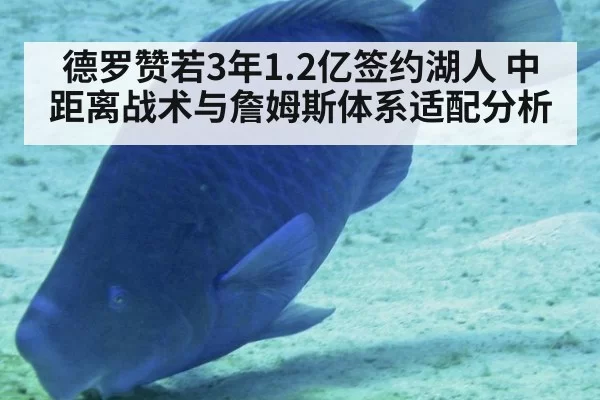 德罗赞若3年1.2亿签约湖人 中距离战术与詹姆斯体系适配分析