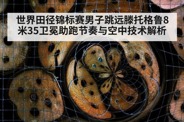 世界田径锦标赛男子跳远滕托格鲁8米35卫冕助跑节奏与空中技术解析