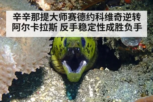 辛辛那提大师赛德约科维奇逆转阿尔卡拉斯 反手稳定性成胜负手